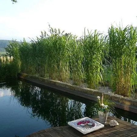 Luxurious In Holiday home